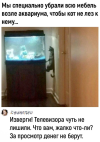 1742147519602.png