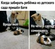 3b70dcf4e0e3c1b0d5af318fc93178b7.jpg