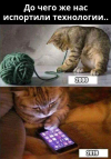 1743613571856.png