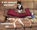 1743960618220.png