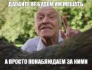 1702905252165366137.jpg