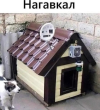 1744895718332.png