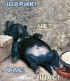 1744982162337.png