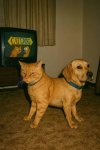 IMG_20260324_201043_316.jpg
