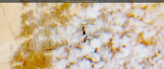 IMG_20260328_003816.png