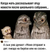 1774878701771.png