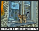 1776595093046.png