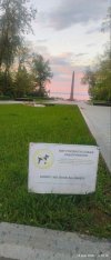IMG_20260519_005435_389.jpg