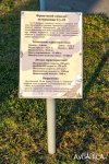 IMG_20260611_034518_849.jpg