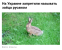 1781588033113.png