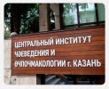 1781626010184.png