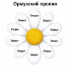 1782066502710.png