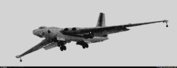 367856.jpg