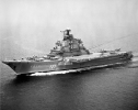 scale_1200 (4).png
