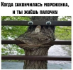 1783166742937.png