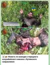 Захват-1.jpg