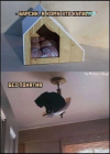 1783934574434.png