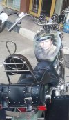 IMG_20260718_035335_616.jpg