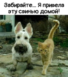 1784393659578.png