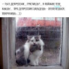 1785869662493.png