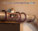 1786787215909.png