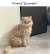 1787927986050.png