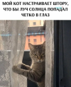 1789198566637.png