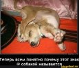 1719432416.jpg.d8fe47f3307b11c8a85ae85b073e924e[1].jpg