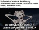 805976802_.jpg.4559e885d0ff066da1e269b3cbe4bc4c[1].jpg