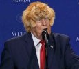 кот на трампе.jpg