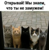 1790835003062.png