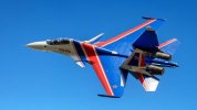 ru-pov-the-su-30sm-that-crashed-in-the-kaliningrad-region-v0-six3avap4fxh1[1].jpeg